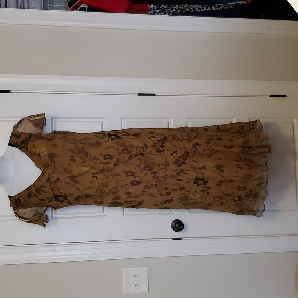 Sheer Floral Dress